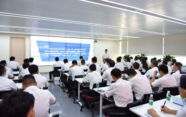 公司召开“七一”党员大会暨“两学一做”学习教育常态化制度化推进会