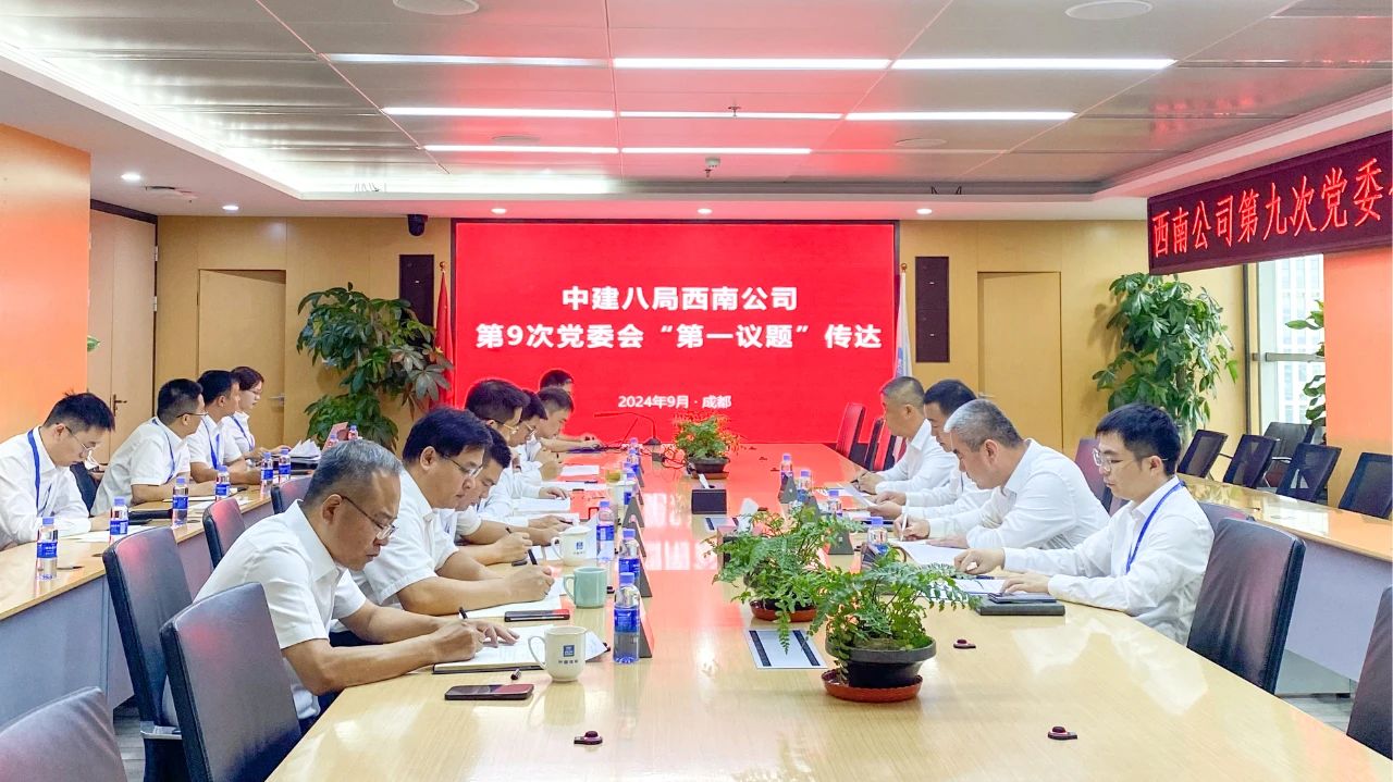 西南公司党委学习贯彻习近平总书记重要讲话精神