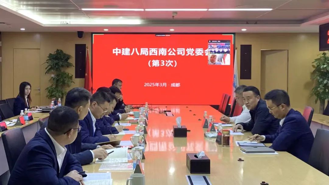 西南公司党委学习贯彻习近平总书记重要讲话精神